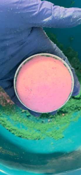 Surprise Bath Bombs